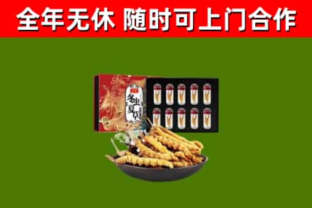 呼伦贝尔回收冬虫夏草价格